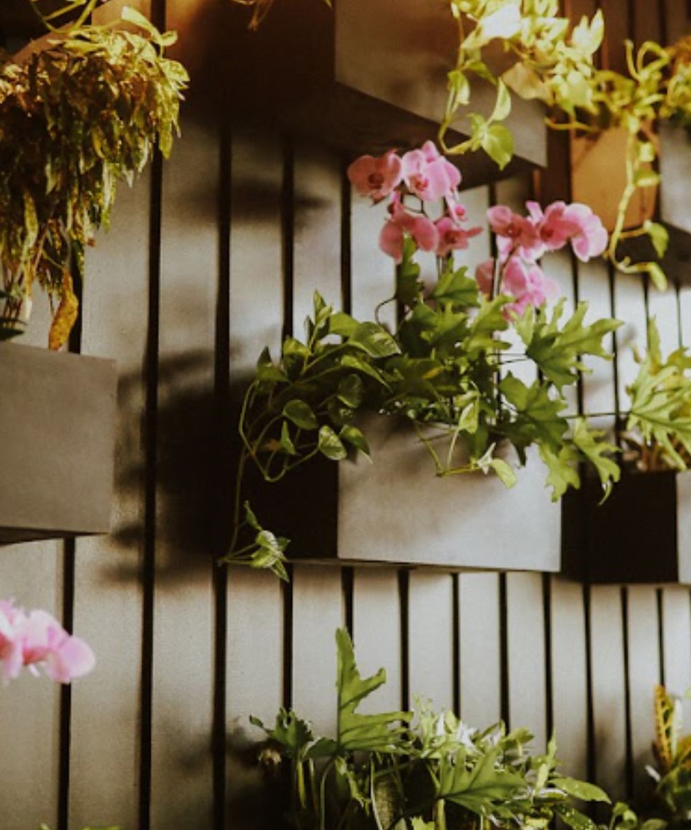 Terrace Garden